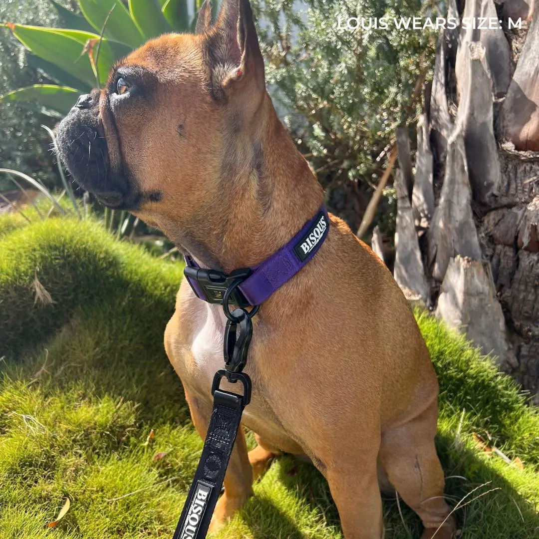 Classic Dog Collar | Purple