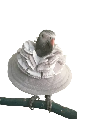 Fringy Cone Bird Collar