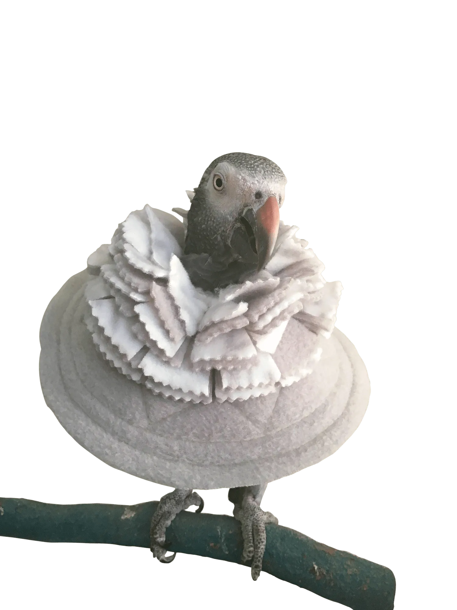 Fringy Cone Bird Collar