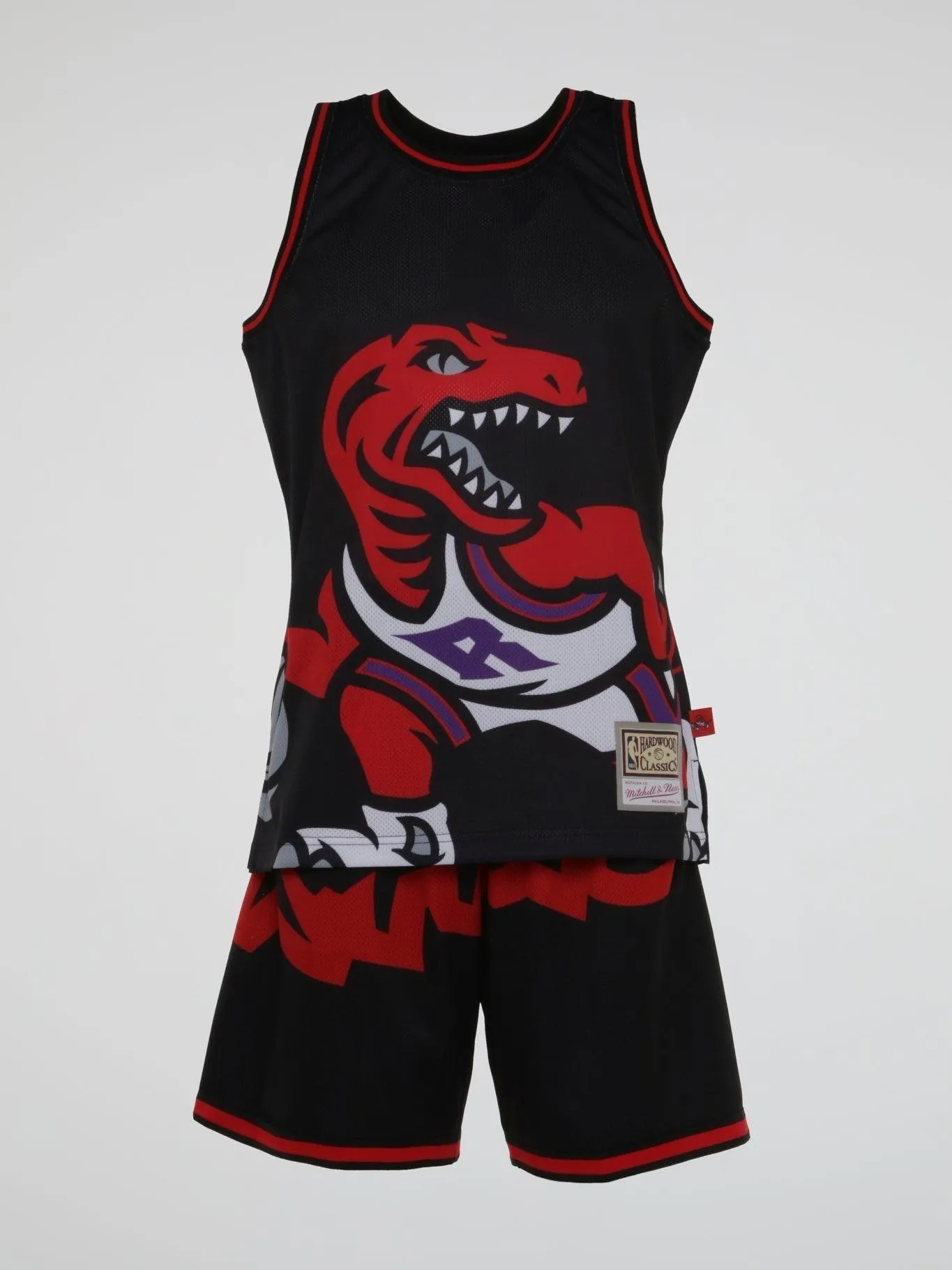 Mitchell and Ness - Toronto Raptors Blown Out Fashion Shorts