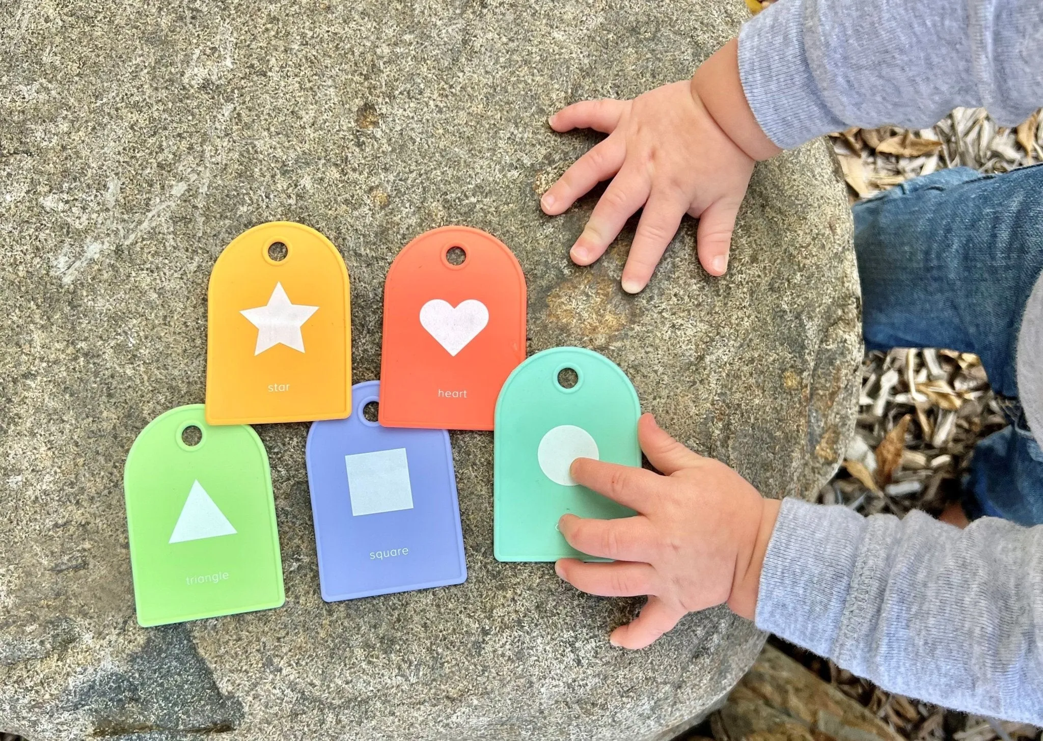 Silicone Shape Flash Cards