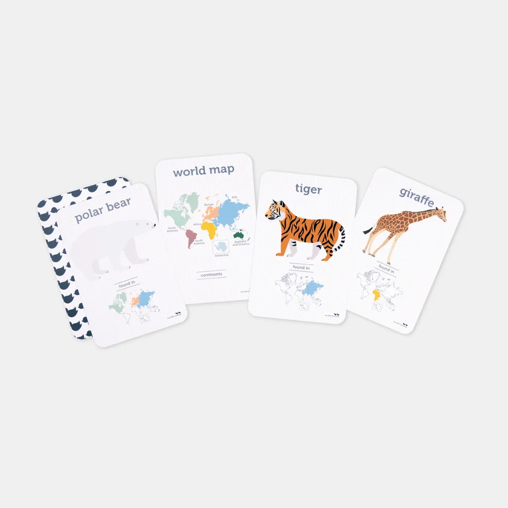 World animals flash cards